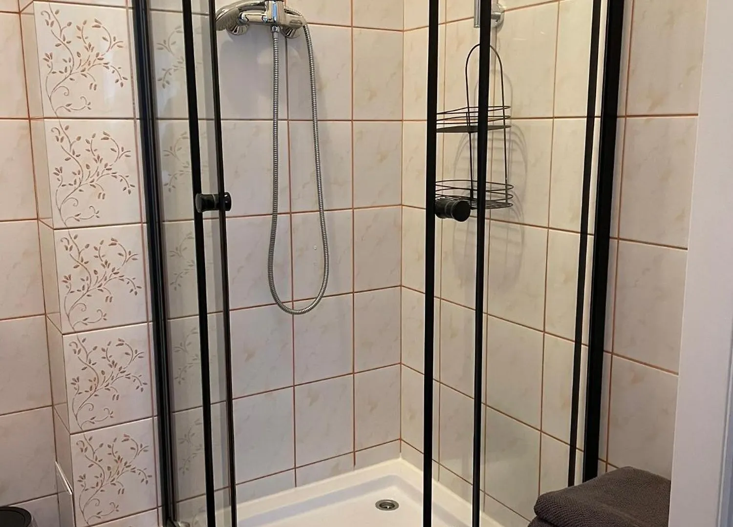 Villa Brzozowy Gaj Karpacz Guest house